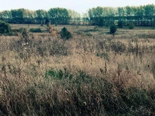 Дом продажа в Анна, Воронежская область