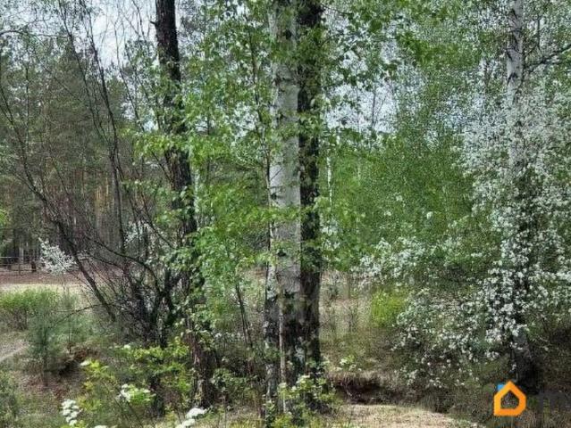 Дом продажа в Атамановка, Забайкальский Край