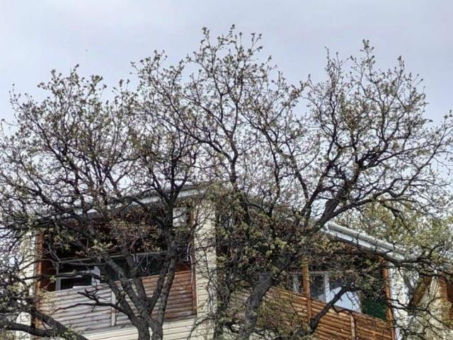 Дом продажа в Береговое С