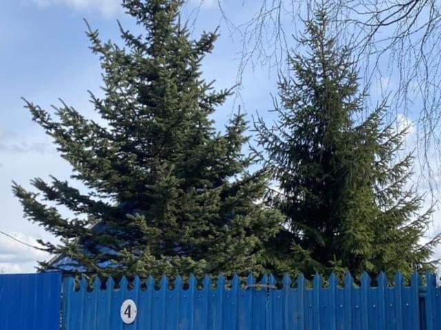 Дом продажа в Кировский район, Мга