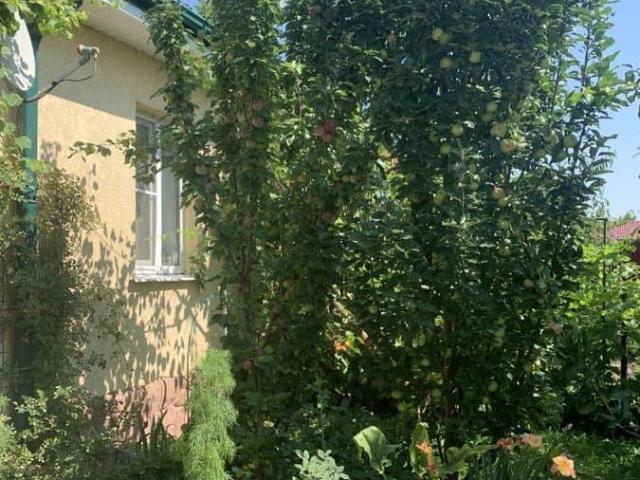 Дом продажа в Орловская область