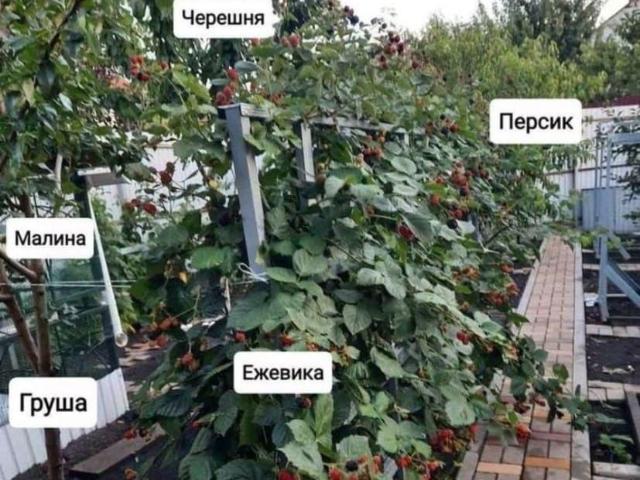 Дом продажа в Белгородская область