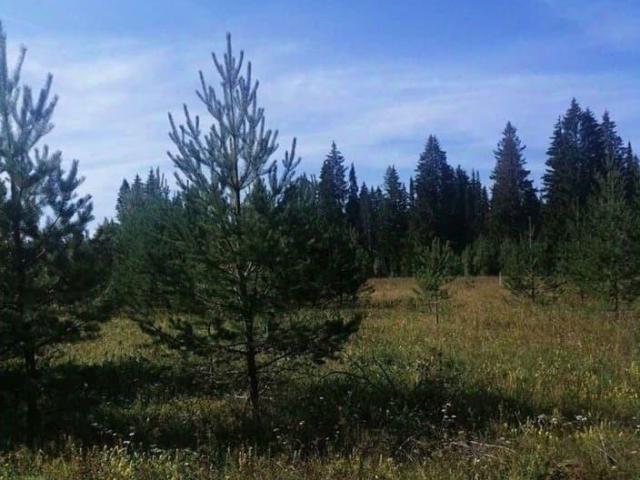 Дом продажа в Сарс, Пермский Край