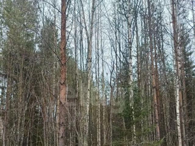 Дом продажа в Верхняя Максаковка