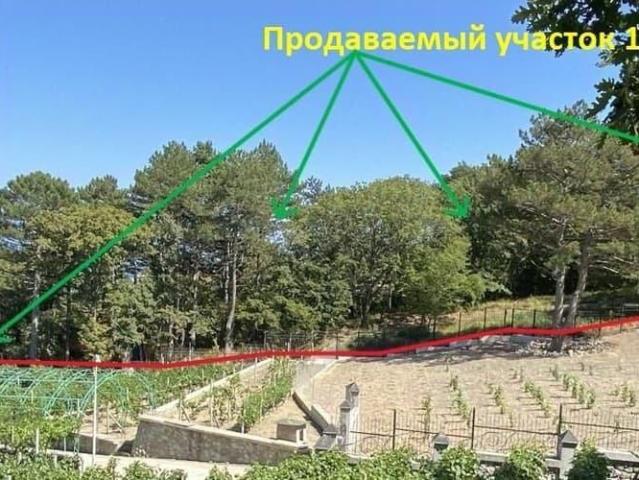 Дом продажа в Виноградное