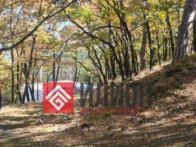 Дом продажа в Виноградное