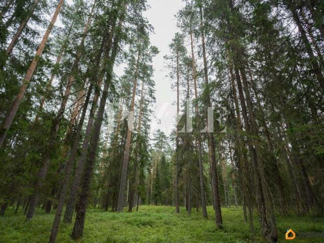 Дом продажа в Ленинградская область