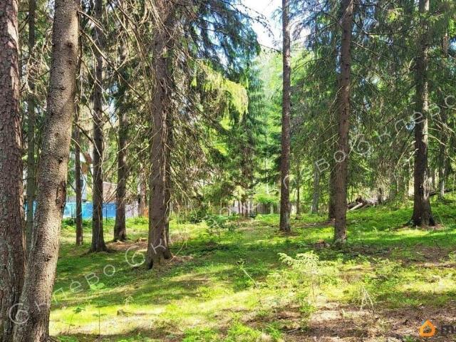 Дом продажа в Ленинградская область