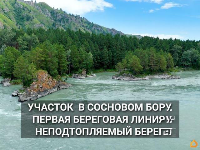 Дом продажа в Алтайский Край