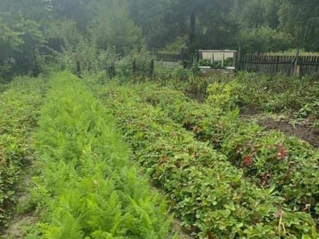Дом продажа в Свердловская область