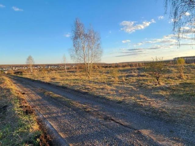 Дом продажа в Челябинская область