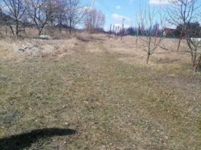 Дом продажа в Белгородская область