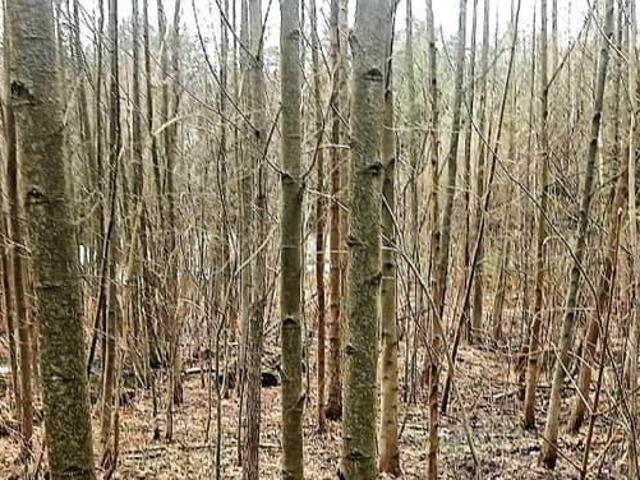 Дом продажа в Кратово, Кабардино-Балкарская Республика