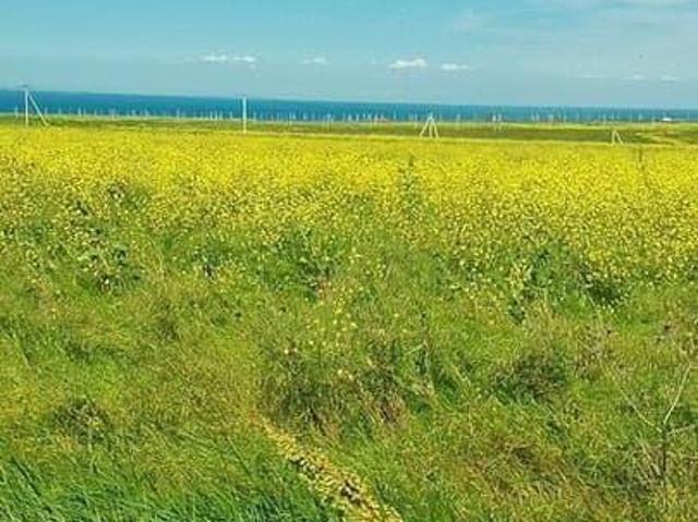 Дом продажа в Кучугуры, Краснодарский Край