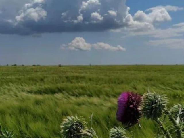 Дом продажа в Кучугуры, Краснодарский Край