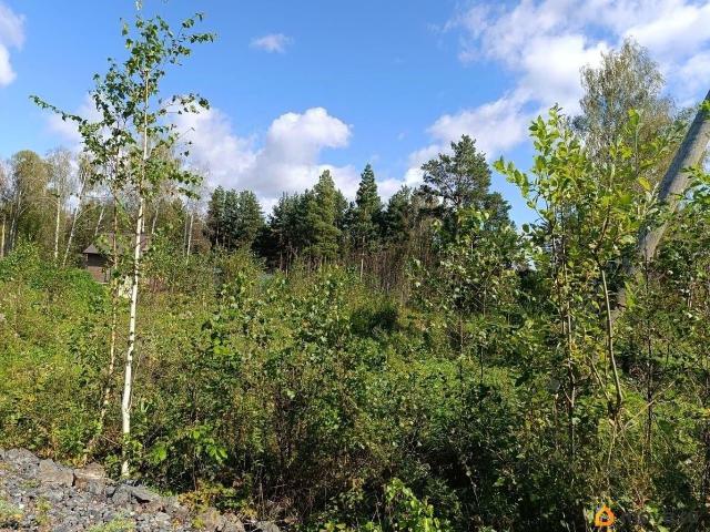 Дом продажа в Свердловская область