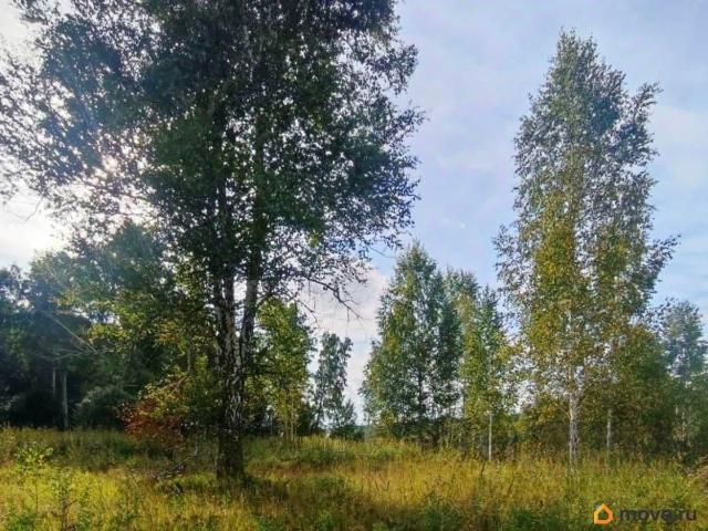Дом продажа в Новосибирская область
