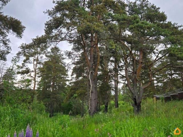 Дом продажа в Ленинградская область