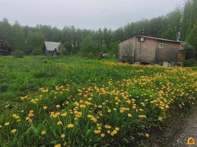 Дом продажа в Новосибирская область