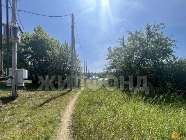 Дом продажа в Алтайский Край