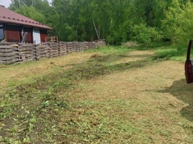 Дом продажа в Алтайский Край