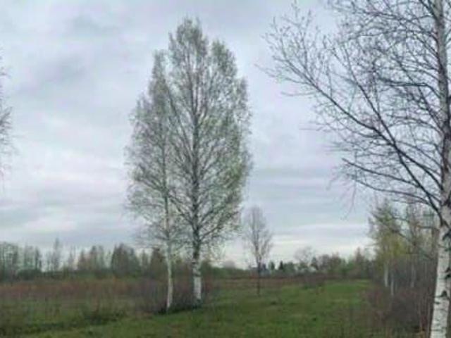 Дом продажа в Ленинградская область