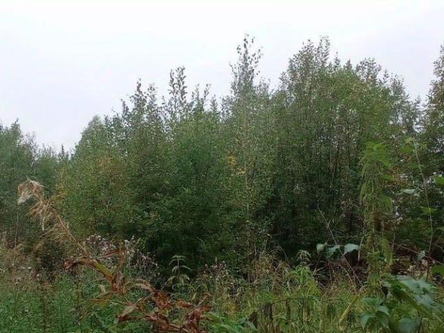 Дом продажа в Пермский Край