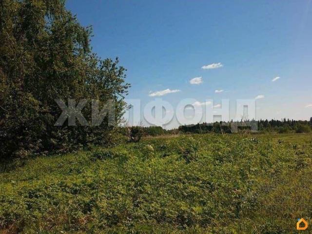 Дом продажа в Новосибирская область