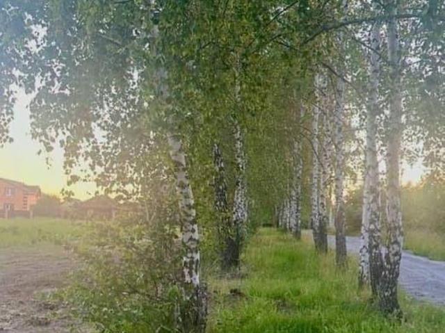Дом продажа в Новосадовый, Белгородская область