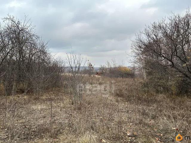 Дом продажа в Новосадовый, Белгородская область