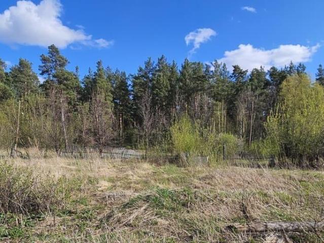 Дом продажа в Алтайский Край