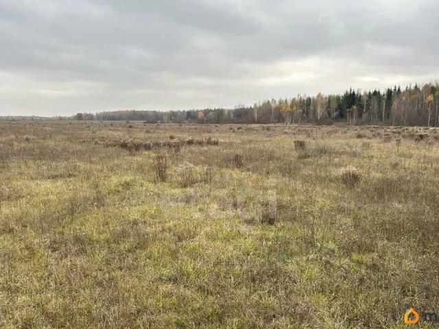Дом продажа в Брянская область
