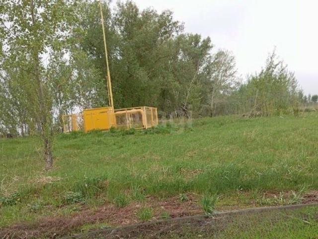 Дом продажа в Алтайский Край