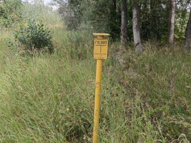 Дом продажа в Алтайский Край