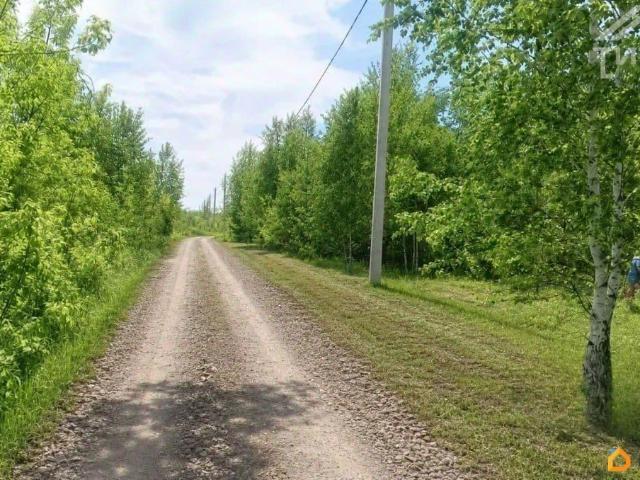 Дом продажа в Алтайский Край