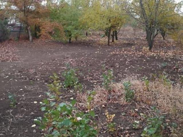 Дом продажа в Орловский, Ростовская область
