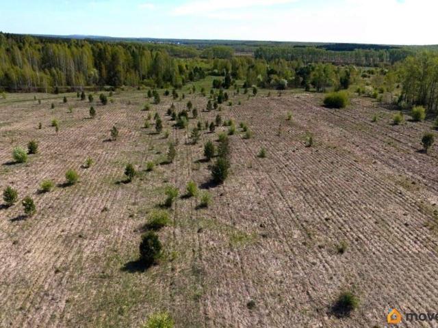 Дом продажа в Челябинская область