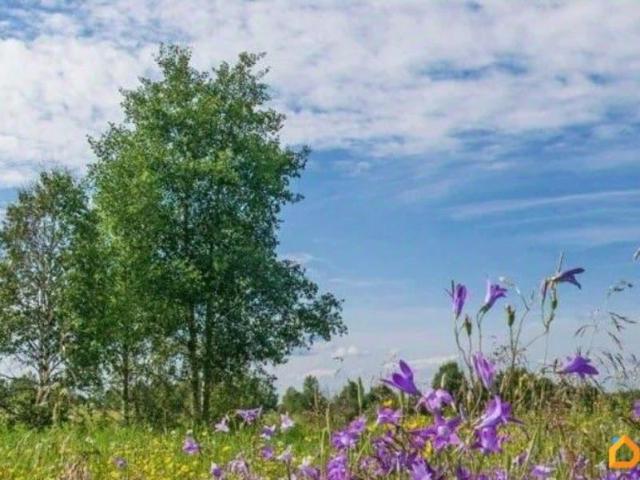 Дом продажа в Свердловская область