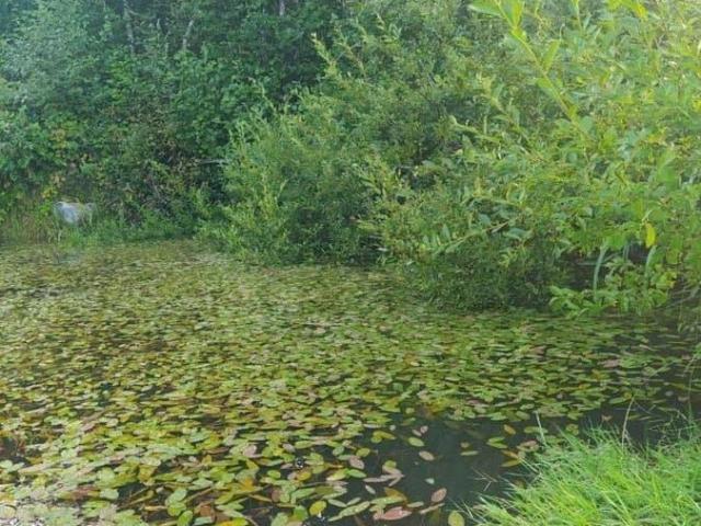 Дом продажа в Карелия Республика