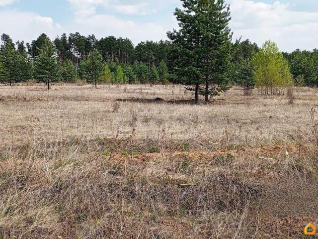 Дом продажа в Алтайский Край