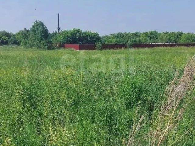 Дом продажа в Алтайский Край