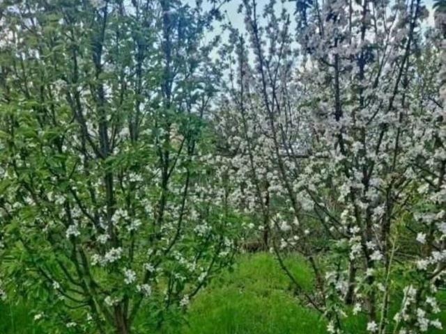 Дом продажа в Ростовская область