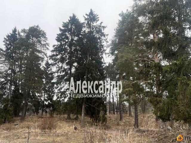 Дом продажа в Ленинградская область