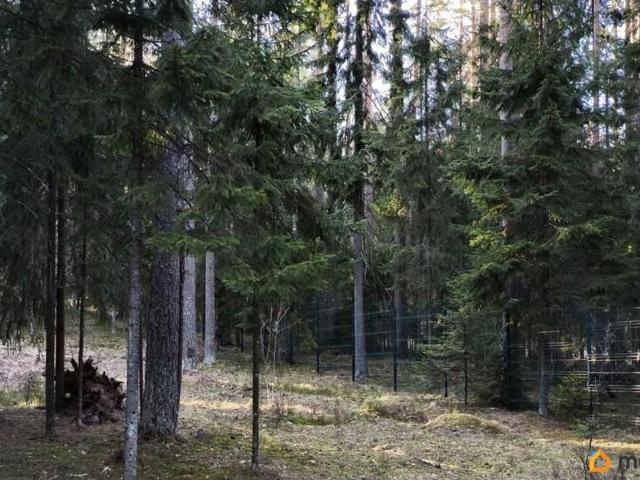 Дом продажа в Ленинградская область