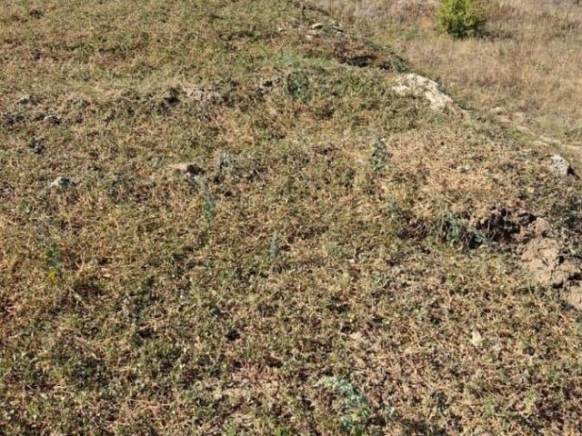 Дом продажа в Ростовская область