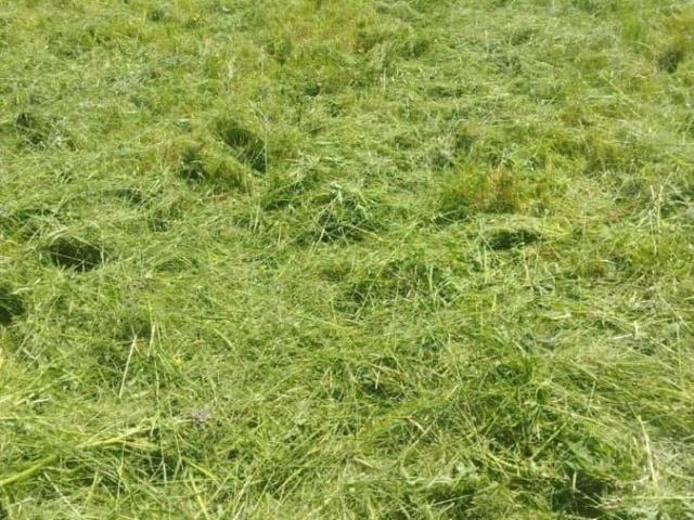Дом продажа в Кабардино-Балкарская Республика