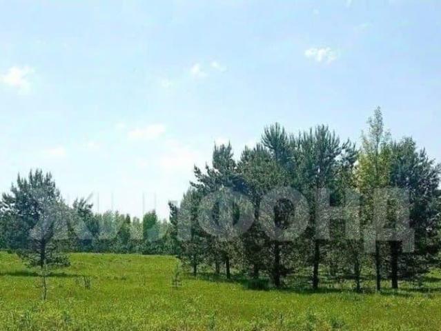 Дом продажа в Новосибирская область