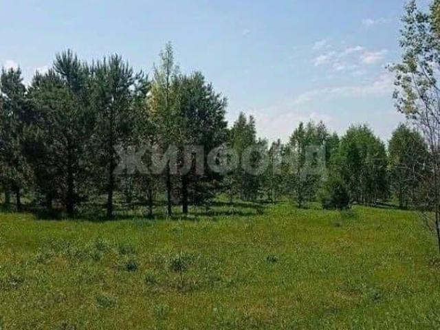 Дом продажа в Новосибирская область