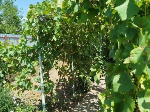 Дом продажа в Ставропольский Край