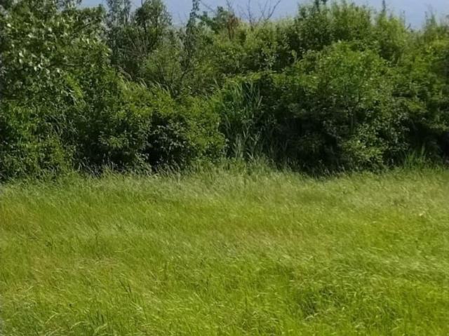 Дом продажа в Приморско-Ахтарск, Приморско-Ахтарский муниципальный округ